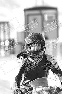 media/Feb-22-2025-2WTD (Sat) [[0e5b3c00f9]]/Around the Pits/